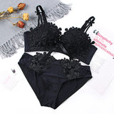 Push Up Bra Set Sexy Lingerie Underwear Women Panties